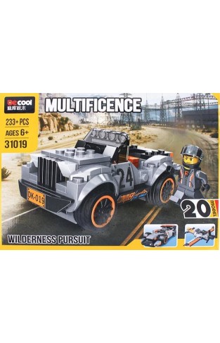 31019  Multificence 233 PCS CAR BLOCK 20